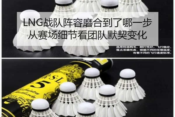 img_1781958904574_28_2_857.jpg