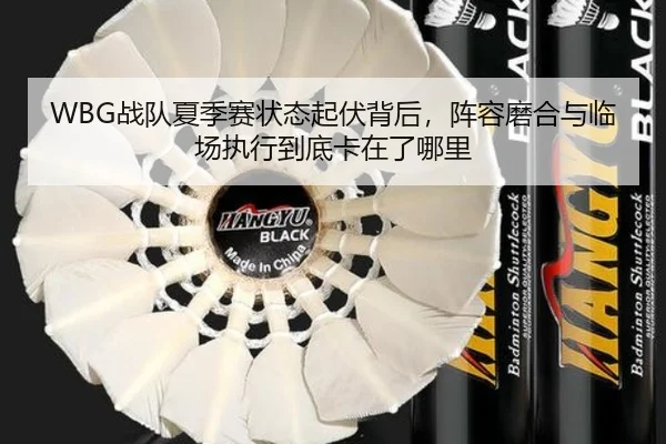 WBG战队夏季赛状态起伏背后，阵容磨合与临场执行到底卡在了哪里